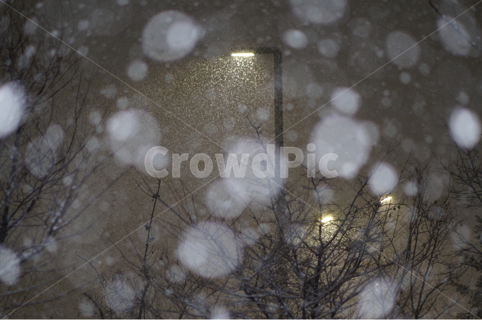 눈,야경,보케,밤,겨울,풍경,겨울,계절,winter,season,야경,밤,풍경,nightscape,night,landscape,outdoors,옥외,snow,storm,폭풍,blizzard,눈보라,nature,자연