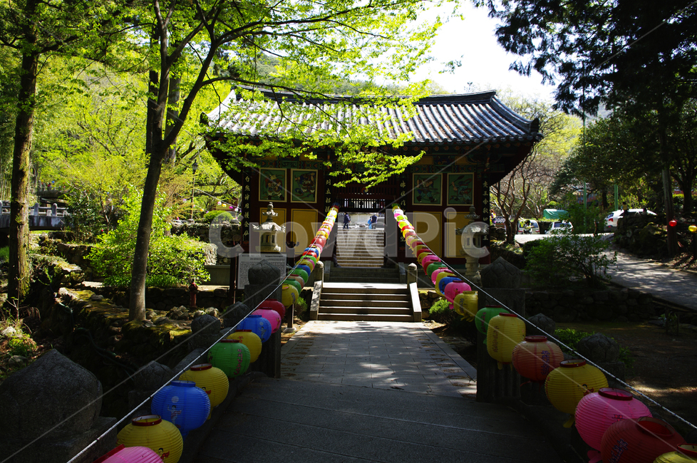 건축,쌍계사,사찰,절,단청,지붕,traditional,전통,연등,한국전통,한국문화,korean traditional,korean culture,종교,신앙,religion,belief,faith,건축물,건물외관,exterior,building,structure,architecture,construction