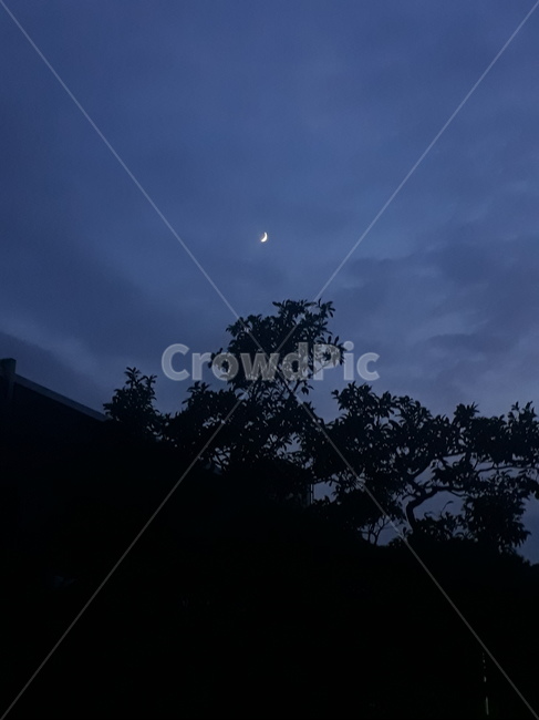달,moon,하늘,밤하늘,밤,감성,야경,밤,풍경,nightscape,night,landscape,nature,자연,outdoors,옥외