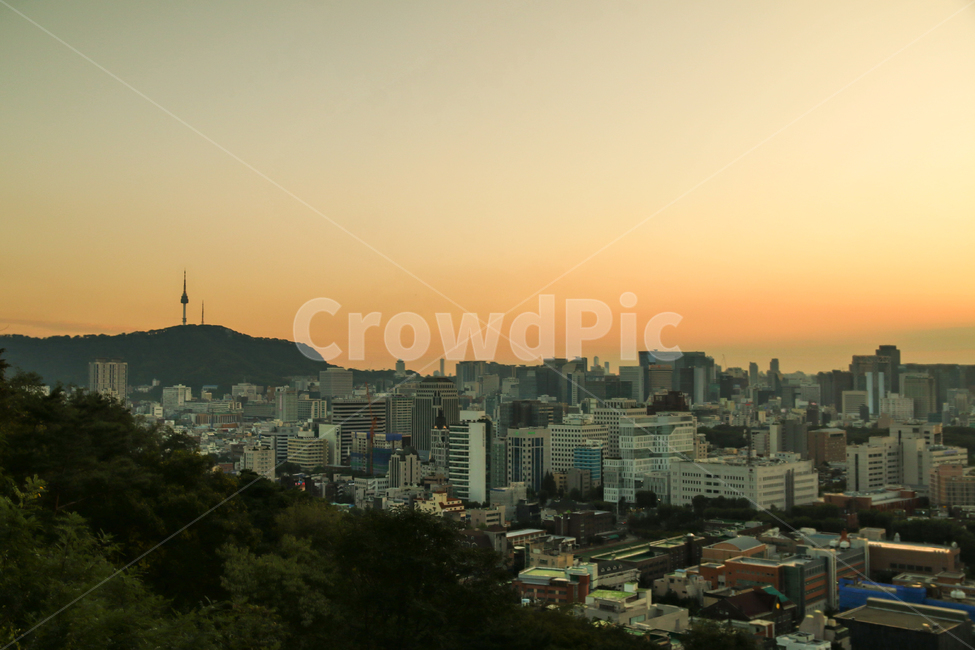 서울,석양,남산,남산타워,도시,도심,전경,풍경,경치,도시풍경,도시전경,대도시,낙산공원,가을,해질녘,노을,아름다운,고층빌딩,상업지구,전망,건물,빌딩,저녁,선셋,스카이라인,랜드마크,타워,중심가,도시,풍경,city,landscape,한국도시풍경,한국도시경관,korea cityscape,랜드마크,landmark,tourist attraction,한국랜드마크,한국관광지,한국명소,korea landmark,korea tourist attraction,building,town,urban,어반,metropolis,중심지,시티,nature,자연,outdoors,옥외