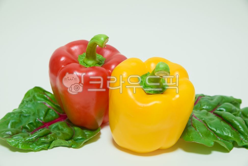 음식,식재료,파프리카,건강식,야채,노란색,빨간색,적근대