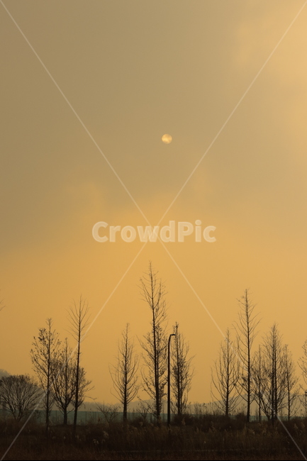하늘,갯골생태공원,감성,풍경,나무,자연,풍경,nature,landscape,한국자연풍경,한국자연경관,korea nature landscape