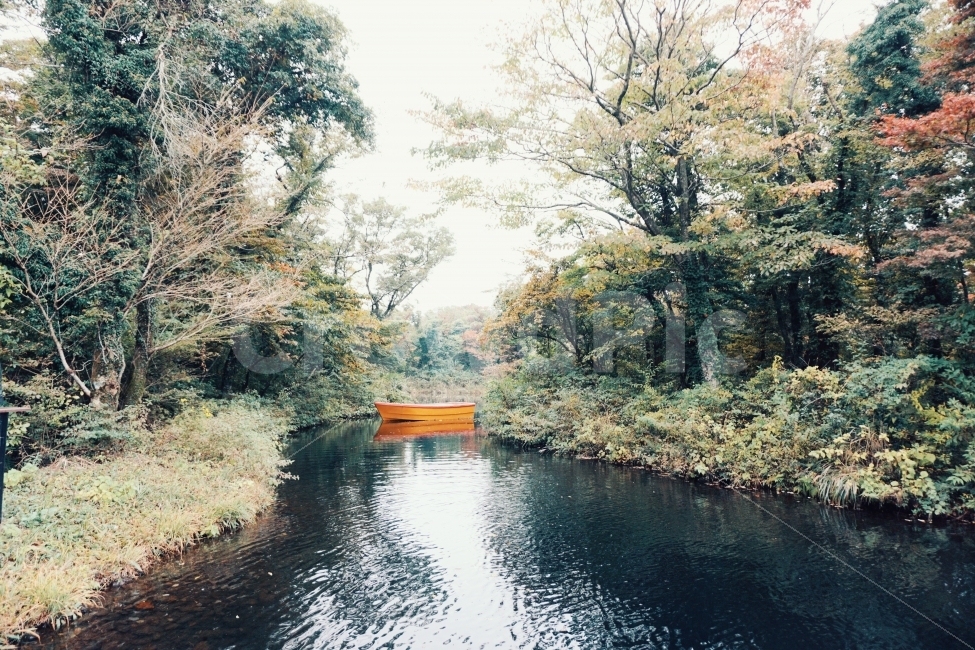 가을,제주,풍경사진,배,감성,호수,자연,풍경,nature,landscape,감성,sensible,feeling,outdoors,옥외,water,물