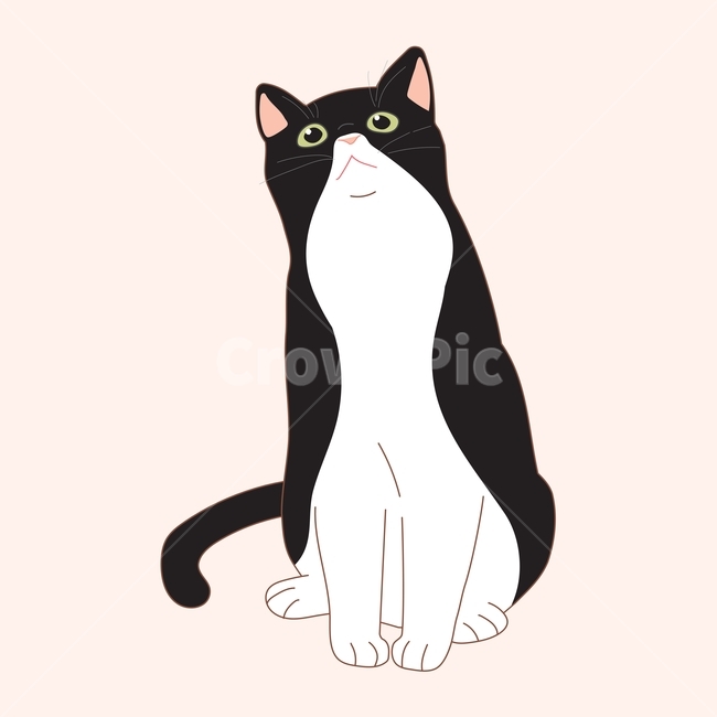 고양이,동물,일러스트,귀여운,손그림,라인,일러스트레이션,벡터,턱시도,무늬,검정,검은,포유류,mammal,고양이,cat,kitten,kitty,그래픽,일러스트레이션,graphic,illustration