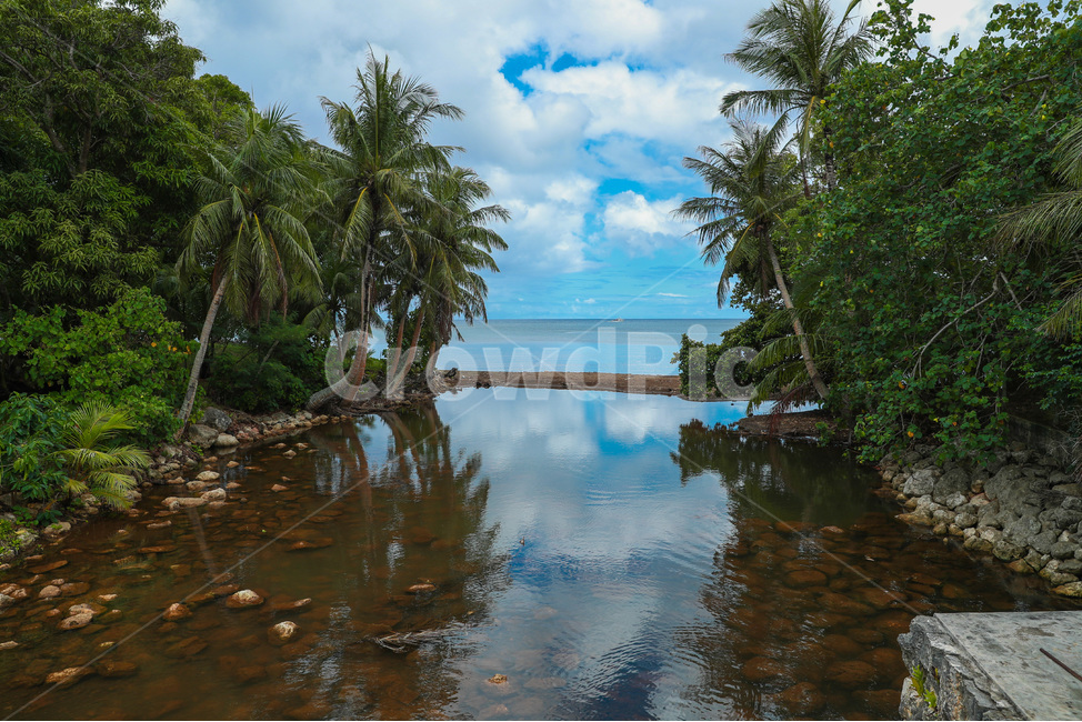 괌,하와이,바다,guam,hawai,섬,ocean,sea,sky,cloud,하늘,구름,outdoors,nature,풍경,경치,대양,해안선,shoreline,landscape,자연,summer,야자수,강,하구