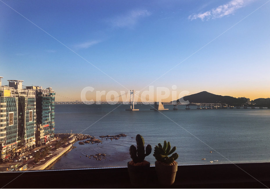광안리,노을,광안대교,부산,바다,도시,풍경,city,landscape,한국도시풍경,한국도시경관,korea cityscape,랜드마크,landmark,tourist attraction,한국랜드마크,한국관광지,한국명소,korea landmark,korea tourist attraction,식물,자연,plants,nature,실내용화초,화분,화초,house plant,인테리어,실내디자인,interior design