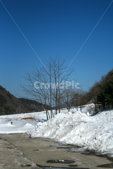 겨울,눈,하늘,나무,풍경,겨울,계절,winter,season,자연,풍경,nature,landscape,outdoors,옥외