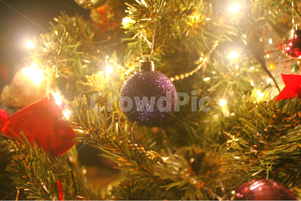 크리스마스,크리스마스트리,크리스마스장식,성탄절,감성사진,christmas,메리크리스마스,체크,빨강,빨간색,초록,초록색,tree,red,green,빛