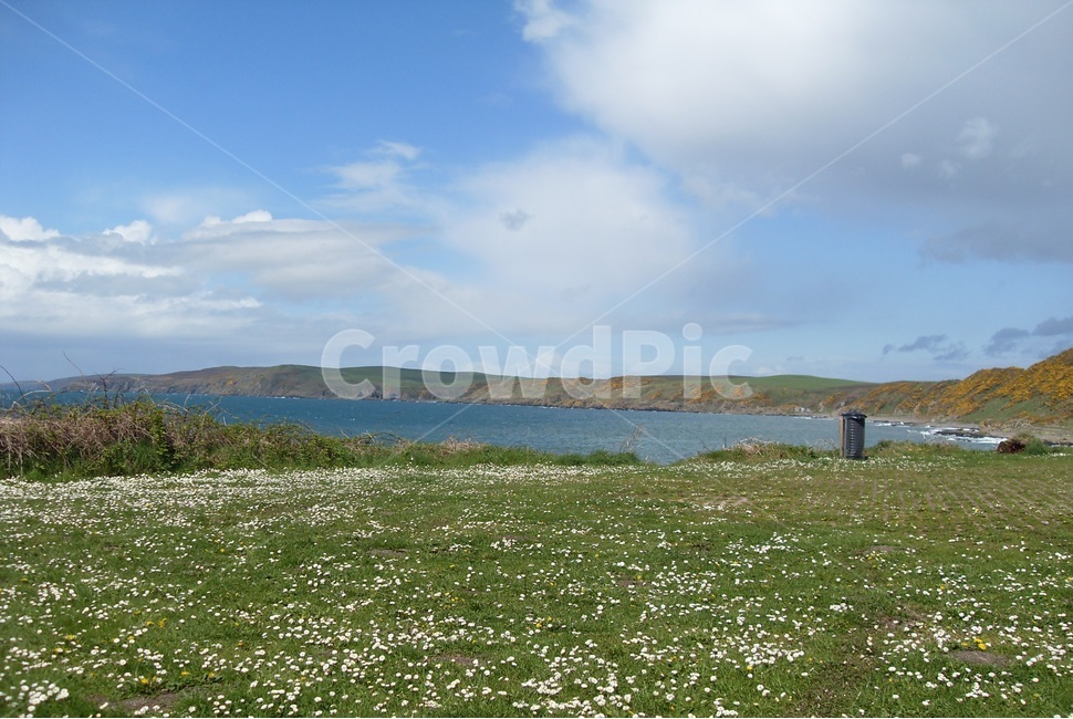 영국,스코틀랜드,스트란라,해안가,바다,들꽃,휴식,평안,구름,자연,풍경,nature,landscape,해외,외국,세계,foreign,oversea,world,세계자연풍경,해외자연풍경,외국자연풍경,world nature landscape,outdoors,옥외,land,땅,ocean,대양,water,물,sea