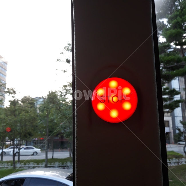 신호,멈춤,stop,버스,빛