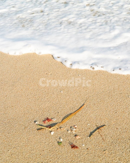 바다,파도,해수욕장,모래,조개,자연,풍경,감성사진,sea,wave,nature,clam,shellfish,sand,자연,풍경,nature,landscape,해변,바다,beach,sea,감성,sensible,feeling,outdoors,옥외