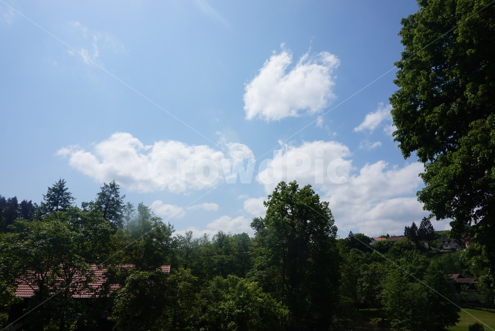 구름,하늘,뭉게구름,나무,sky,여름하늘