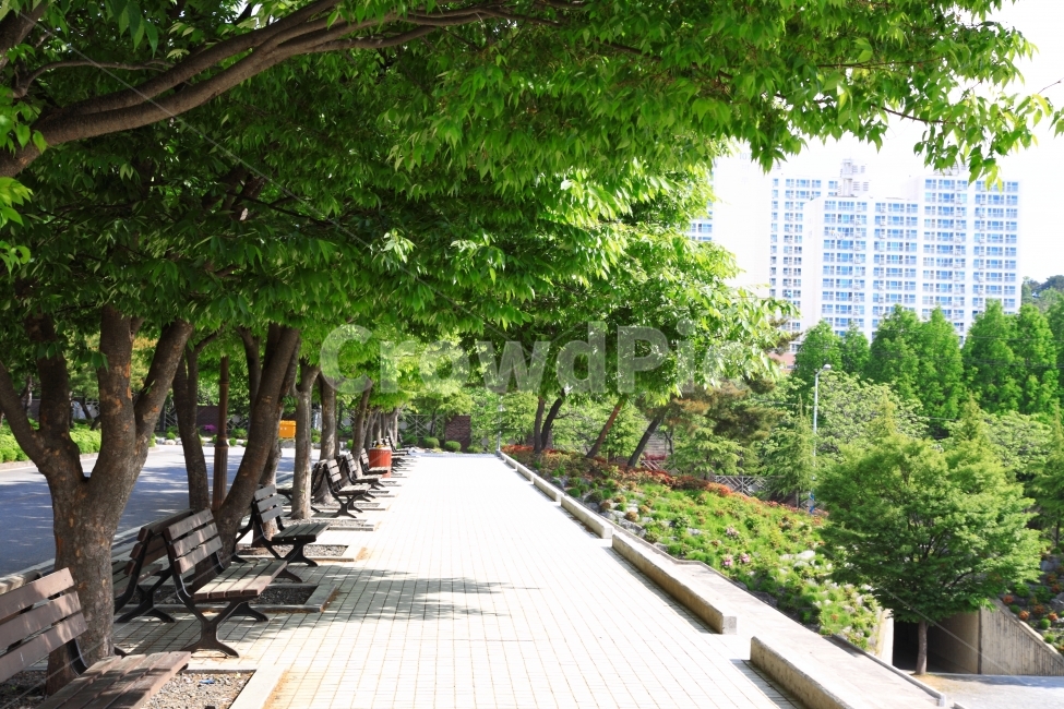 봄,풍경,자연풍경,사월,자연,의자,벤치,거리,길,도시,풍경,city,landscape,한국도시풍경,한국도시경관,korea cityscape,식물,자연,plants,nature,나무,trees,wood,garden,정원,outdoors,옥외,arbour,정자,furniture,가구,bench