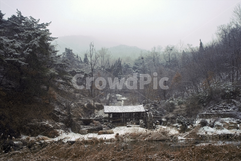겨울,눈,물레방아,너와집,자연,계절,winter,감성,기분,feeling,watermill,snow,지붕,숲,나무,갈대,홍제천,겨울,계절,winter,season,자연,풍경,nature,landscape,한국자연풍경,한국자연경관,korea nature landscape,시골,마을,country,rural,town,농촌,building,건물,outdoors,옥외,shelter,피난처,tree,나무,plant,식물,abies,아비,fir,전나무