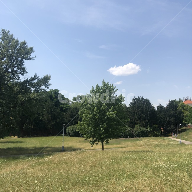 나무,공원,pack,healing,view,유럽,동유럽,풍경,배경,힐링,체코,프라하,czech,prague,praha,레트나공원,letnapark