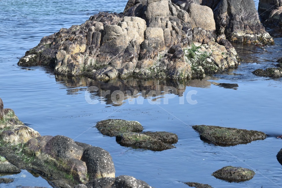 강릉,바다,바위,푸른바다,한국,이끼,초록,파랑,푸른색,자연,풍경,nature,landscape,rock,록,promontory,곶