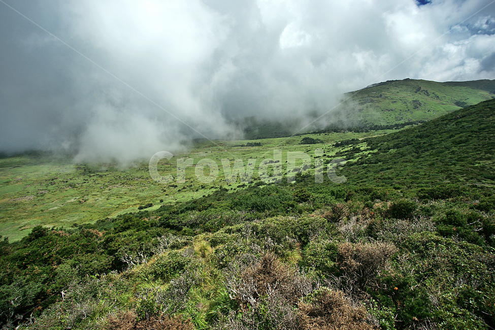 한라산,윗세오름,제주,영산,구름,운무,영실코스,자연,수풀,자연,풍경,nature,landscape,한국자연풍경,한국자연경관,korea nature landscape,제주도,jeju,jeju island,outdoors,옥외,plateau,고원