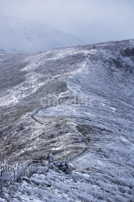 자연,풍경,겨울,눈,산,길,덕유산,겨울,계절,winter,season,자연,풍경,nature,landscape,outdoors,옥외,mountain,slope,경사