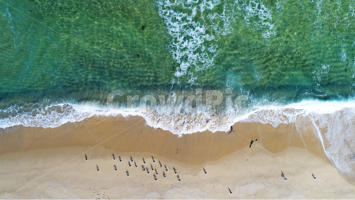 바다,갈매기,파도,sea,seagull,seagulls,wave,drone,드론,자연,풍경,nature,landscape,해변,바다,beach,sea,동물,animal,조류,새,birds,scenery,outdoors,옥외,경치
