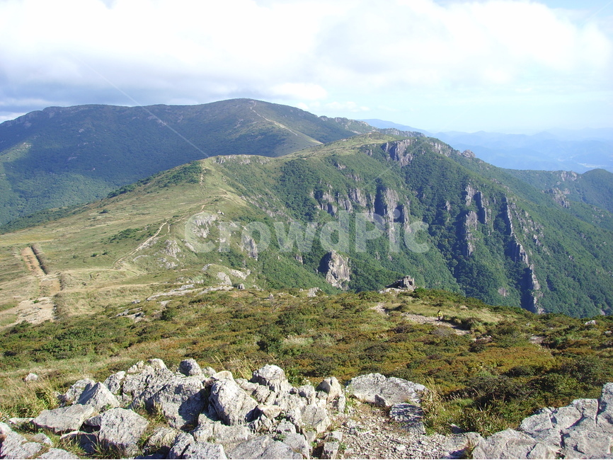 산,영남알프스,신불산,간월산,영축산,갈대,가지산,자연,풍경,nature,landscape,한국자연풍경,한국자연경관,korea nature landscape,outdoors,옥외,slope,경사