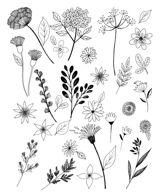 손그림,handdrawing,팬그림,팬라인,pen,penline,penpicture,pendrawing,plant,식물,꽃,flower,bloom,blossom,나뭇잎,leaf,foliage,umbrage,나뭇가지,bough,twig,sprig,branch,봄,spring,springtime