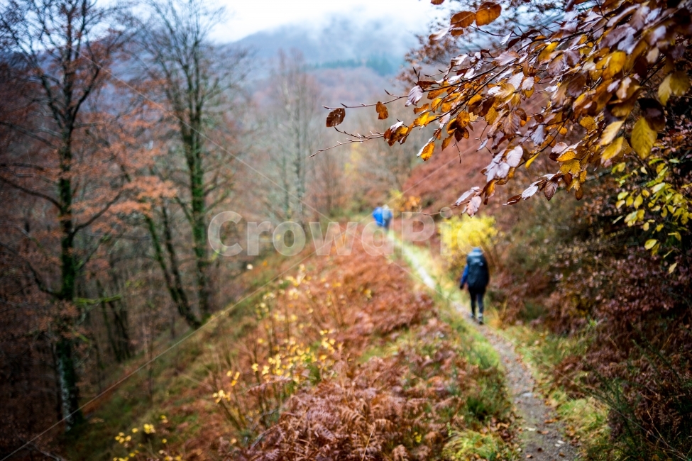 풍경,여행,유럽,스페인,산티아고순례길,배낭여행,spain,caminodesantiago,길,낙엽,트래킹,도보여행,산행,가을,계절,fall,autumn,season,자연,풍경,nature,landscape