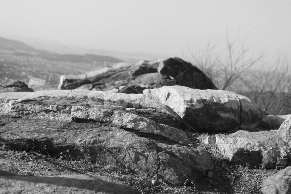 경치,돌,풍경,나뭇가지,흑백,배경,자연,풍경,nature,landscape,흑백,모노톤,monochrome,black and white