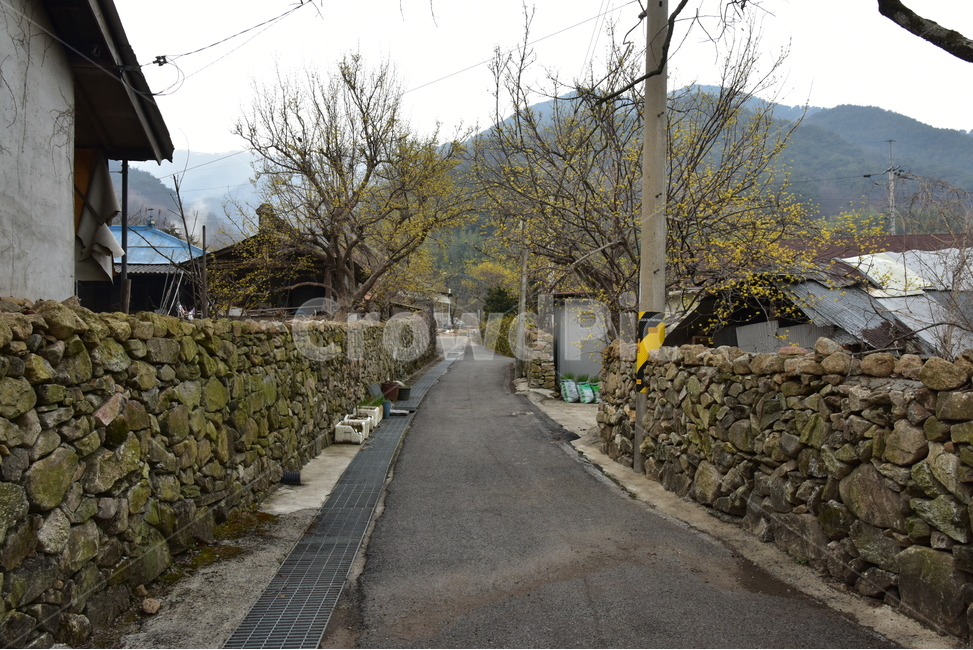 돌담,돌각담,시골골목길,시골풍경,운치,돌담길,시골골목,감성,시골,마을,풍경,landscape,country,rural,town
