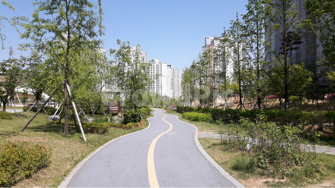 세종시,산책로,자연,여유,맑은날,거리,도시,풍경,city,landscape,한국도시풍경,한국도시경관,korea cityscape,road,도로,asphalt,아스팔트