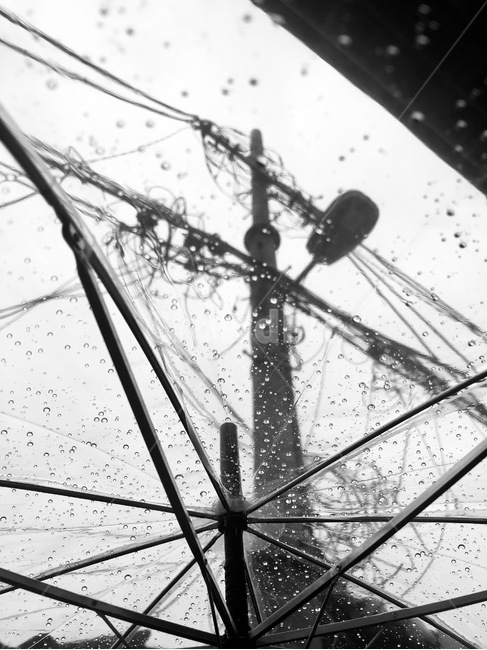 익선동,비,빗방울,우산,흑백,감성,sensible,feeling,비,비오는날,rain,rainy,흑백,모노톤,monochrome,black and white