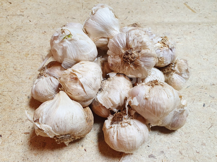 마늘,garlic,한지,채소,생마늘,음식,야채,food,음식,식재료,요리,food,cook,meal,dishes,food reserves
