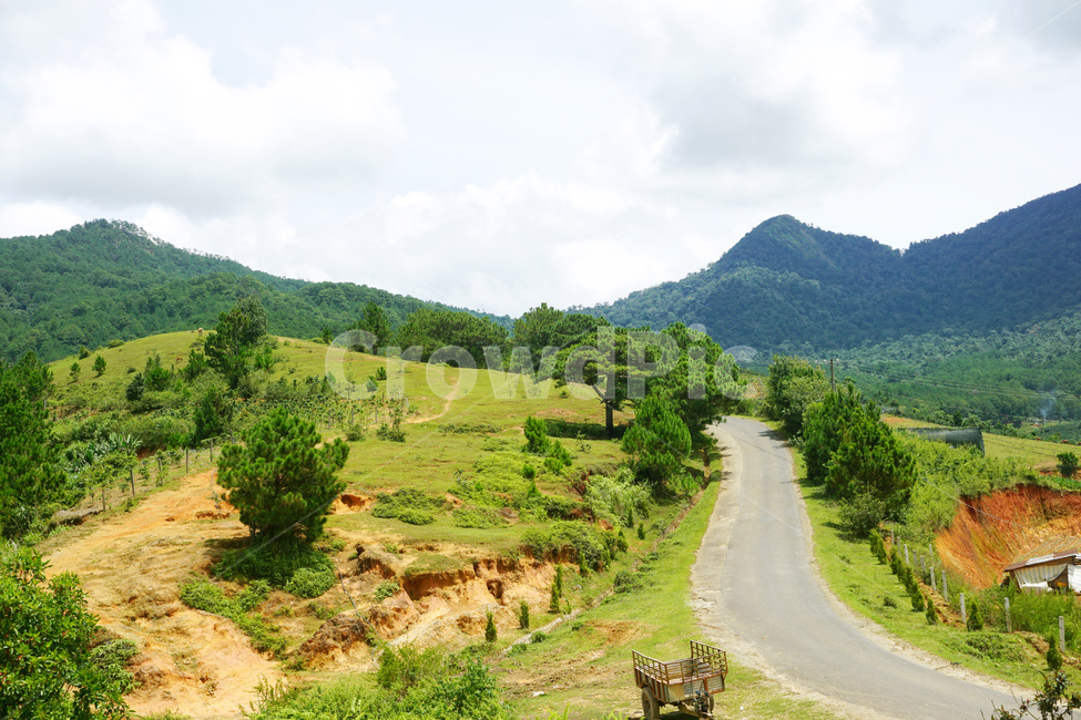 nature,자연,countryside,outdoors,옥외,베트남달랏,달랏,vietnamdalat,자연,풍경,nature,landscape