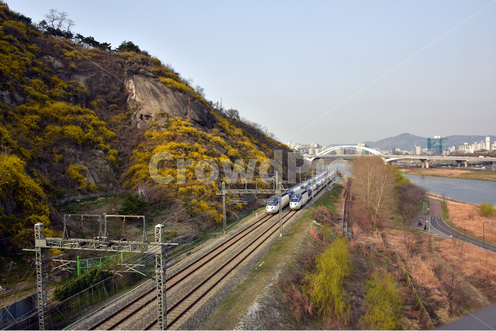풍경,landscape,응봉산,개나리,응봉산개나리,철길,봄,계절,spring,season,자연,풍경,nature,landscape,교통,교통수단,traffic,transportation,railway,철도,train track,기찻길,rail,레일