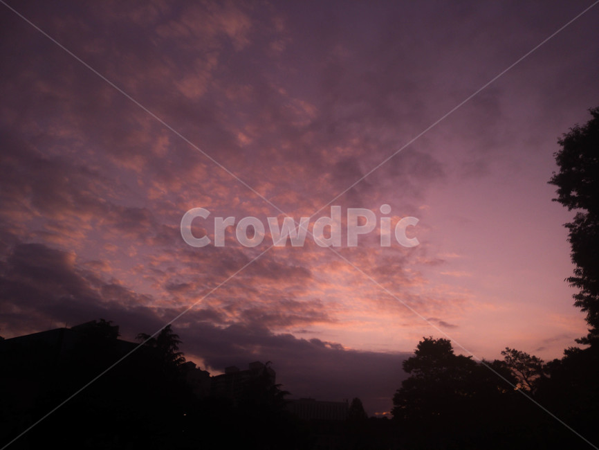 하늘,분홍색,구름,해질녘,sunset,sky,cloud,pink