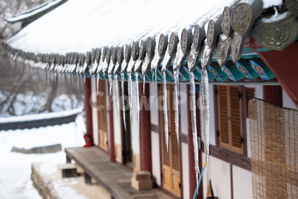 고드름,겨울,춥다,얼다,차다,사찰,절,지붕,얼음,icicle,winter,cold,집,outdoors,ice,겨울,계절,winter,season,한국전통,한국문화,korean traditional,korean culture