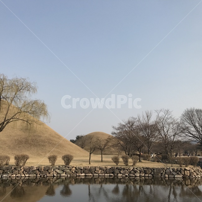 경주,황남동,왕릉,천마총,풍경,유적지,자연,풍경,nature,landscape,grassland,목초지,field,들,outdoors,옥외