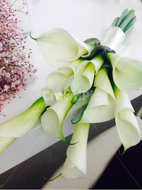 부케,카라,결혼,웨딩,꽃,bouquet,flower,calla,wedding,꽃,flower