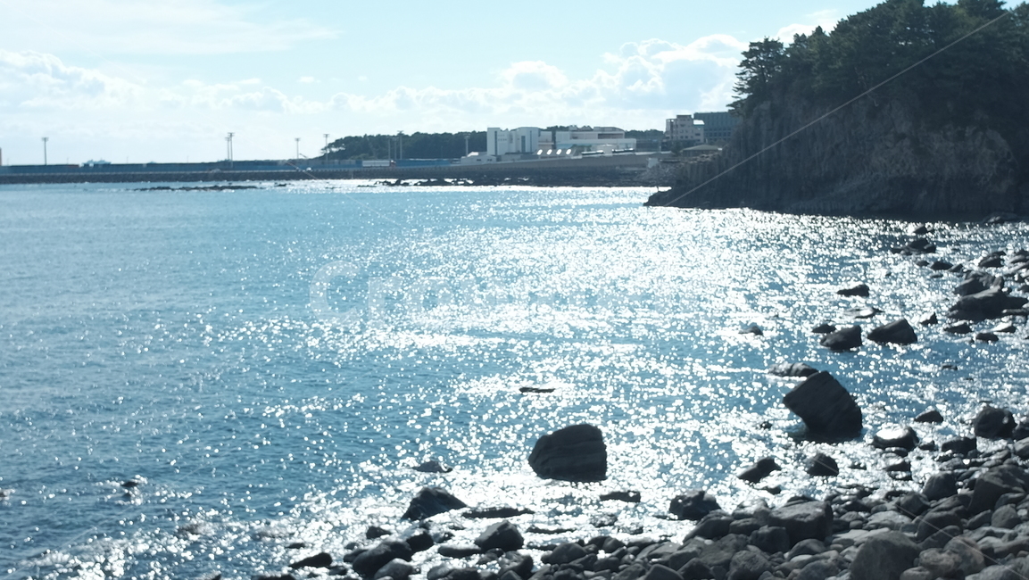 제주도,바다,파도,물결,sea,절벽,나무,해안,햇빛,자연,풍경,nature,landscape,promontory,곶