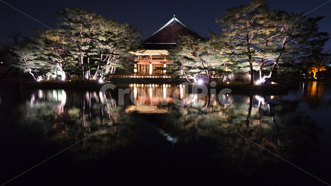 경복궁,야경,경복궁야경,경회루,경회루야경,궁궐,궁