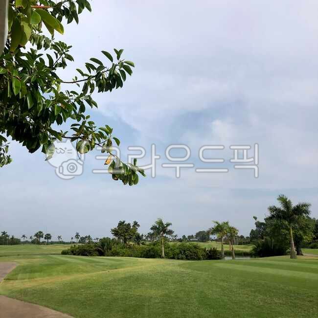 golf,Vietnam Golf,field,golf course,overseas golf,golfcourse,Southeast Asia Golf