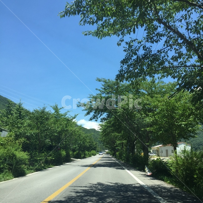 도로,나무,맑은하늘,화창,초록,자연,풍경,nature,landscape,road,highway,고속도로,freeway,고속 도로,asphalt,아스팔트