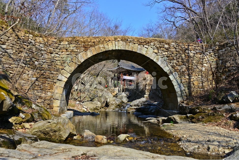 outdoors,옥외,tree,나무,plant,식물,treetrunk,나무줄기,승주,선암사,승선교,사찰,절,계곡,계류,경치,경관,풍경