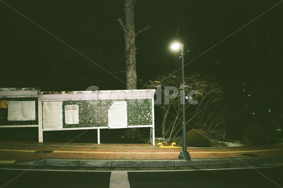 가로등,밤,학교,겨울,게시판,야경,밤,풍경,nightscape,night,landscape