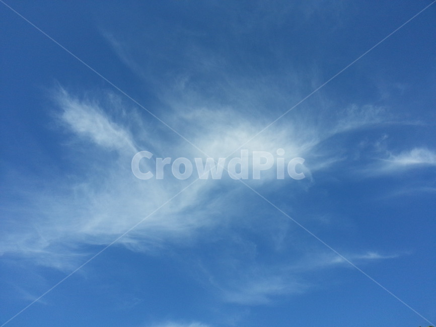 구름,하늘,파란하늘,특이한구름,뭉게구름,cloud,sky,special,bluesky,파란,하얀,날림구름