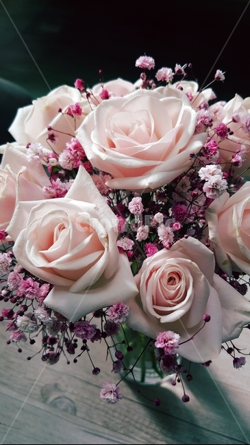 식물,꽃,꽃꽂이,flower,장미꽃,핑크장미