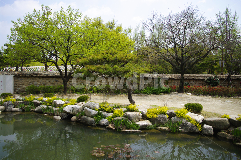 계절,연못,나무,식물,plant,봄,spring,초록,자연,풍경,nature,landscape,한국자연풍경,한국자연경관,korea nature landscape,water,물,outdoors,옥외