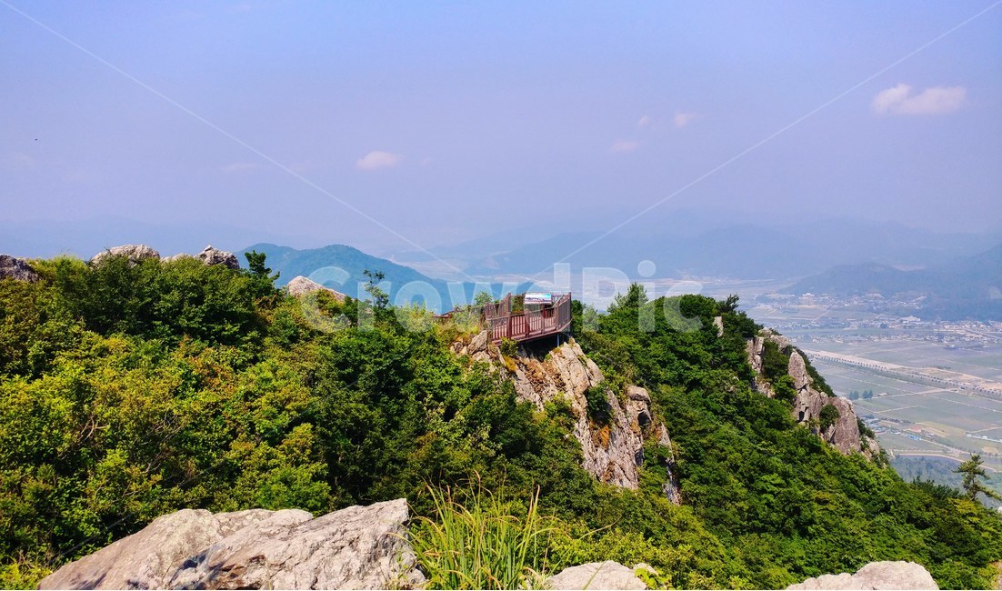 풍경,억불산,장흥,자연,식물,우드랜드,편백나무,편백나무숲,숲,억불산정상,산,바위,날씨,여름,landscape,mountain,nature,plants,tree,forest,stone,weather,summer,자연,풍경,nature,landscape,한국자연풍경,한국자연경관,korea nature landscape,outdoors,옥외,slope,경사