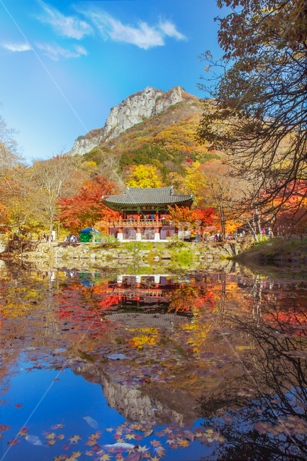 풍경,자연,가을,단풍,가을단풍,산사,백양사,절,사찰,불교,계곡,바위,돌,돌다리,연못,반영,나뭇잎,식물,낙옆,단풍시즌,단풍색,단풍잎,산,배경,울긋불긋,화려한,불타는,노랑,노란,노랑색,노란색,붉은색,붉은빛,빨강,빨강색,빨간,빨간색,관광객,바위산,하늘,푸른하늘,sky,bluesky,autumn,tree,나무,건물,건축물,architecture,temple,bridge,기와,pond,water,leaf,leaves,가을,계절,fall,autumn,season,자연,풍경,nature,landscape,한국자연풍경,한국자연경관,korea nature landscape