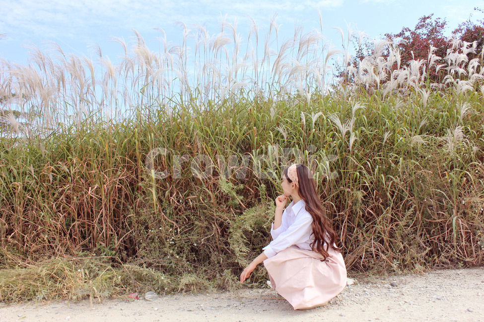 가을,여자,분위기,감성,억새,fall,girl,가을,계절,fall,autumn,season,자연,풍경,nature,landscape,사람,인물,인간,human,person,여성,여자,woman,female,lady,grass,잔디,plant,식물