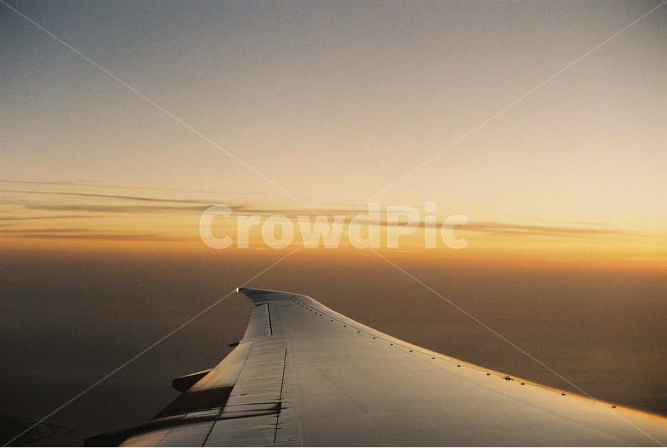 비행기,airplane,비행기하늘,sky,비행기날개,비행,flight